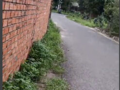 z4444828274542_94a641bda993019c0c725fcf610ec457