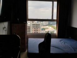 Bán căn hộ chung cư Sunrise Riverside, block B, tầng cao nhất - Ảnh 3
